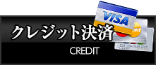�N���W�b�g�J�[�h�̂����p